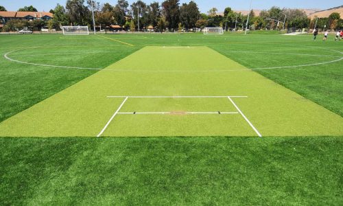 Synthetic-Cricket-Pitch